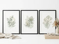 Botanical Print Set of Three