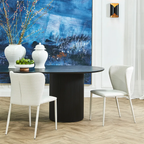 Forrest Dining Chair Set of 2 - Natural w Fabric Legs