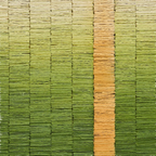 Tides Paper Wall Art