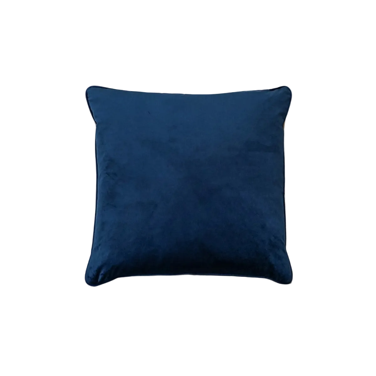 Vanilla Cushion Feather Insert