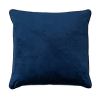 Vanilla Cushion Feather Insert