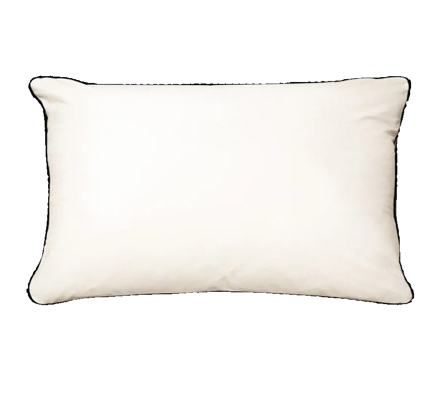 Slate Cushion Feather Insert