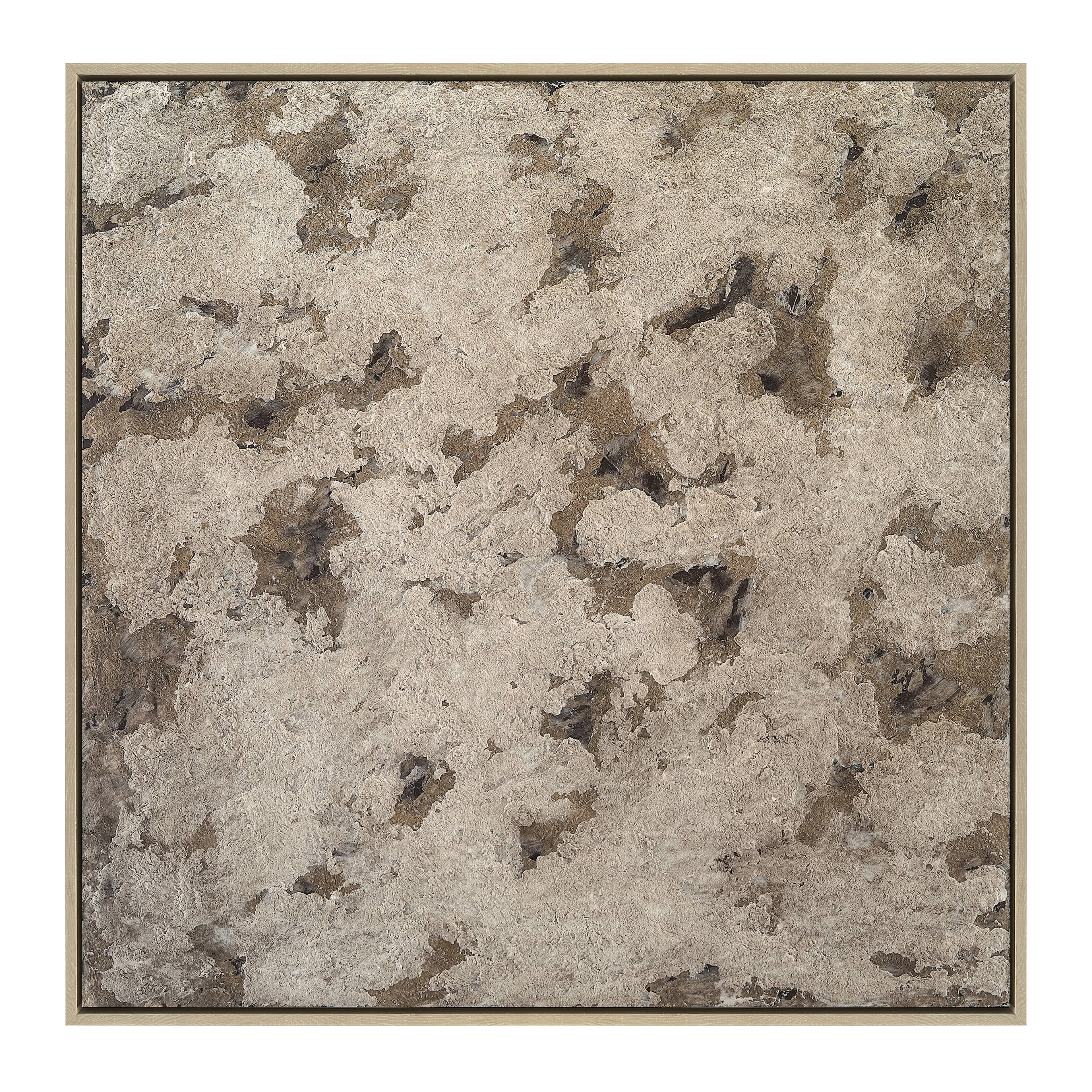 Mossy Stone Canvas